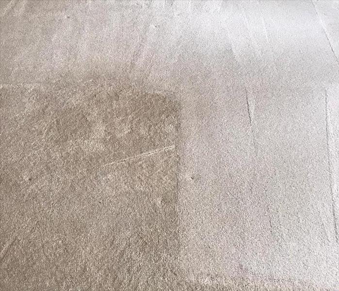 white carpet with steam marks from cleaning 