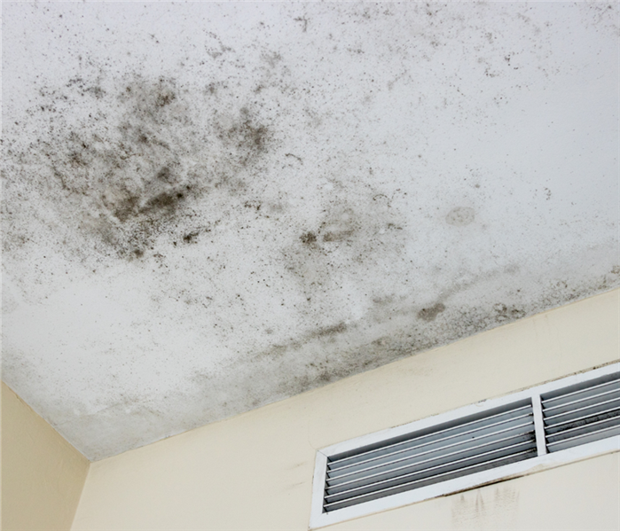 mold on the ceiling